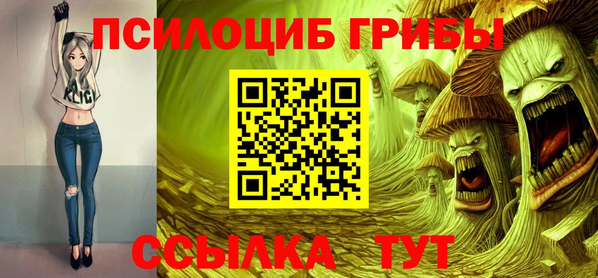 Боровичи  цены   Вход с VPN  Галлюциногенные грибы Psilocybe 