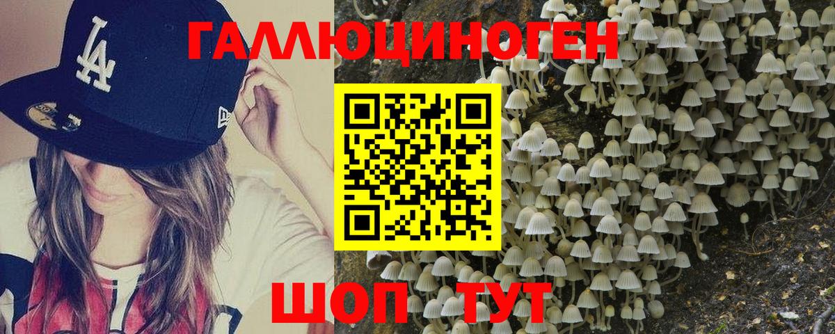 Галлюциногенные грибы ЛСД Боровичи